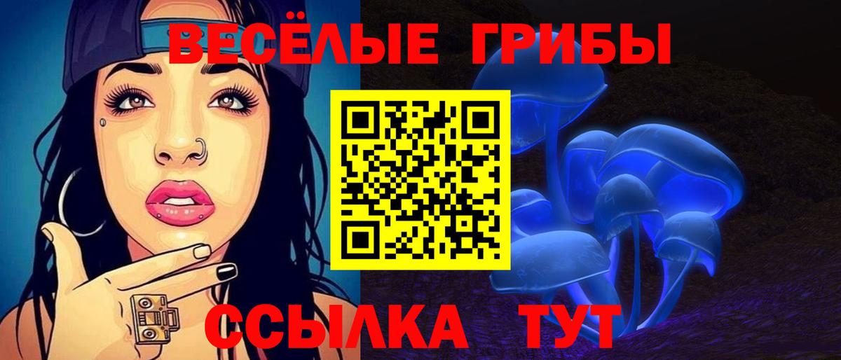 Миллерово  Галлюциногенные грибы ЛСД  Вход с VPN  Галлюциногенные грибы мицелий 